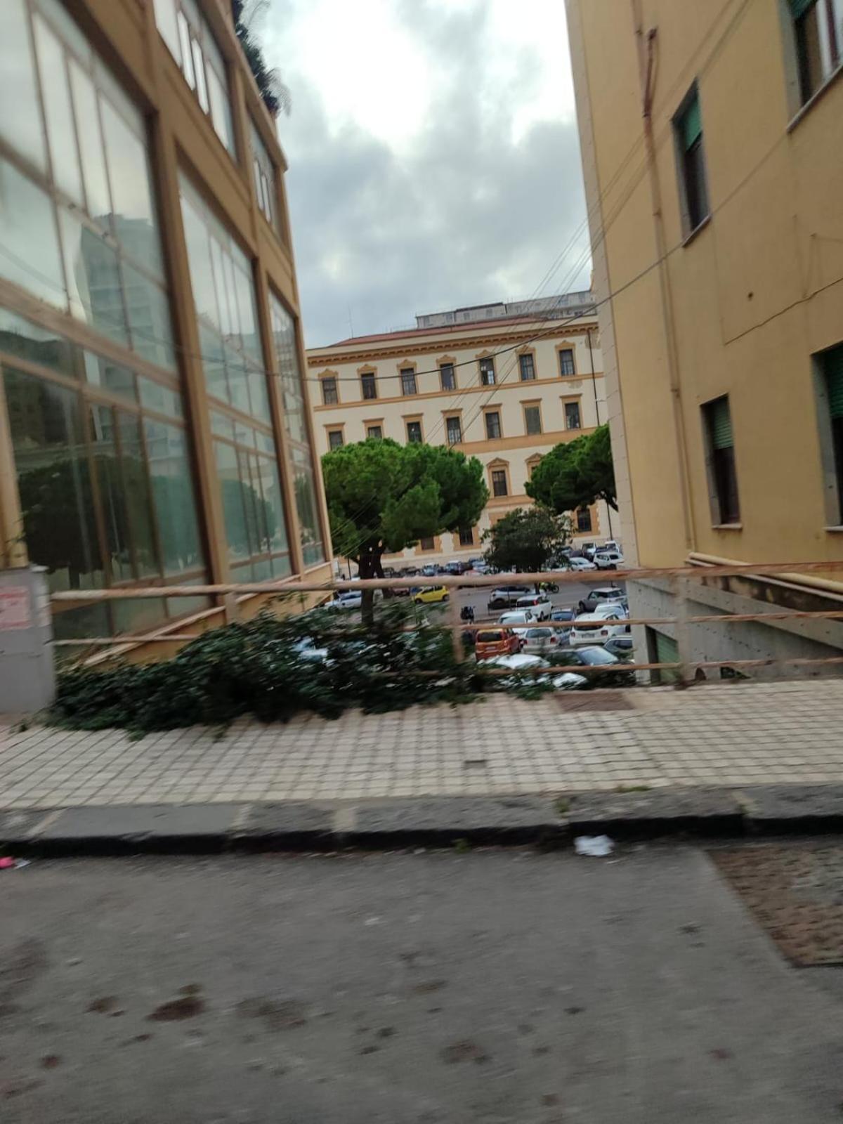 San Vito 9 Daire Agrigento Dış mekan fotoğraf